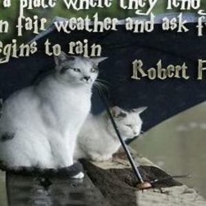 Meet your Posher, Venus